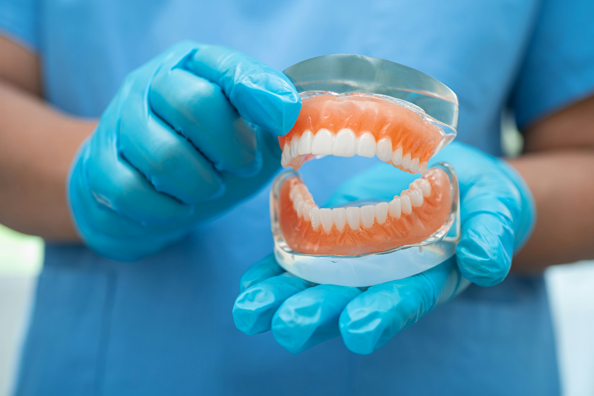 Denture, dentist holding dental teeth model to study and treat in hospital.