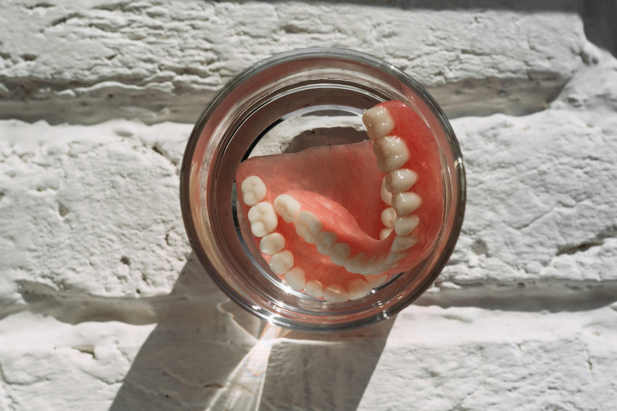 Full removable plastic denture of the jaws. Acrylic denture. Lower jaw with false teeth