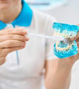 Experienced woman dental hygienist brushing dentures and dental implants